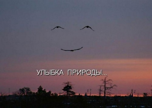 smeshnie_kartinki_132473716124.jpg