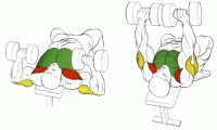 5.gif