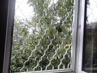 20130815_114311.jpg