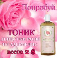 smallPink-rose-petals_RUS1920x1440.jpg