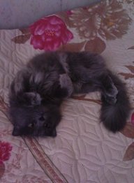 Катя...