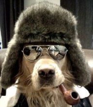 Федя Максимов