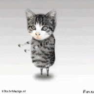 Котофей