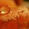MandarinKa