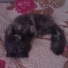 Катя...