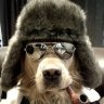 Федя Максимов