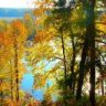 Календулка
