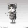 Котофей